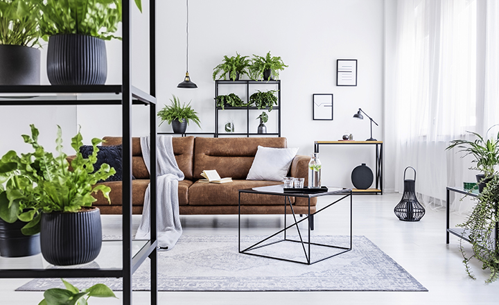Cortina loneta para habitación