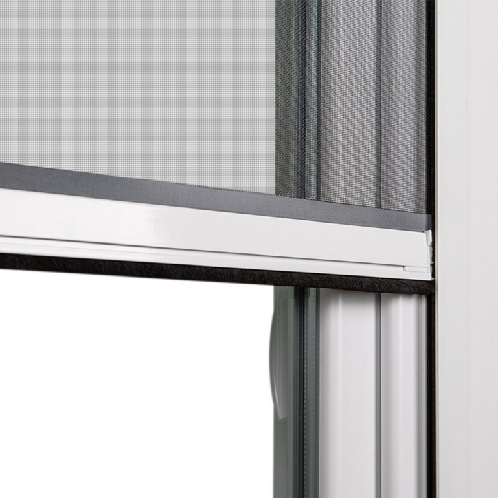 Mosquiteras enrollables para ventana hechas a medida – C5 Coverings