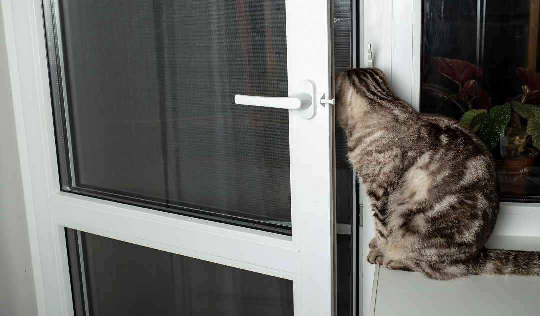mosquitera para puerta para proteger a los gatos de caídas